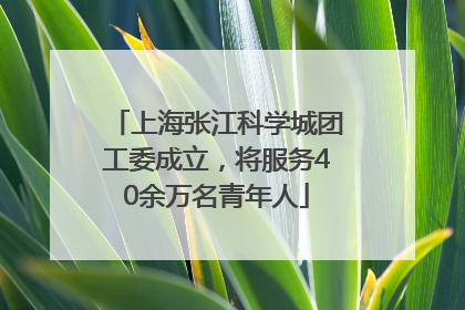上海张江科学城团工委成立，将服务40余万名青年人